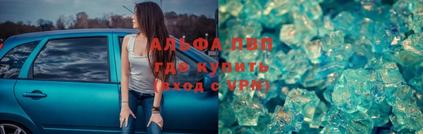 сатива Елизово