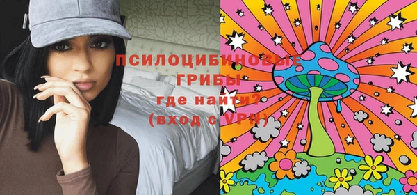 ешки Дмитров