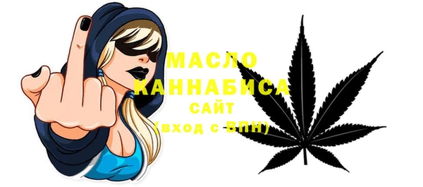 тгк Ельня