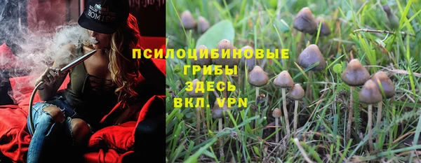Альфа ПВП Дмитровск